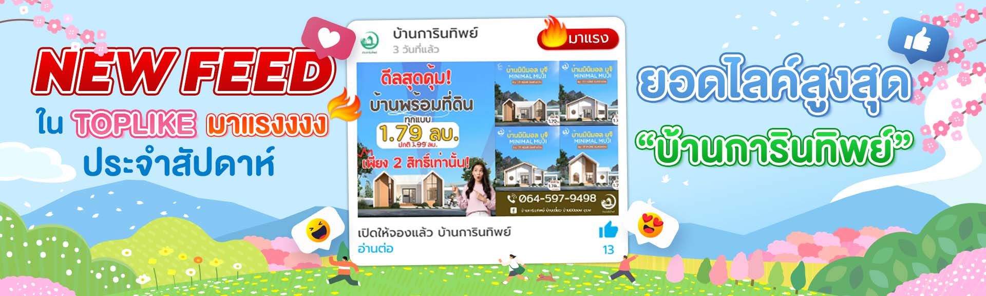 Feed-บ้านการินทิพย์