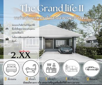 The Grandlife II