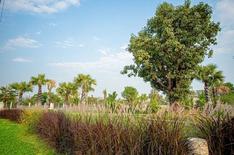 ภาพแบบบ้าน-บ้านอินทนิน