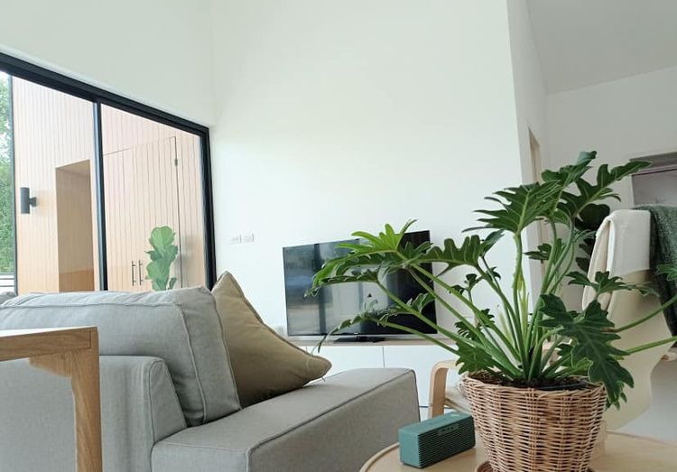 ภาพแบบบ้าน-บ้านเดี่ยว