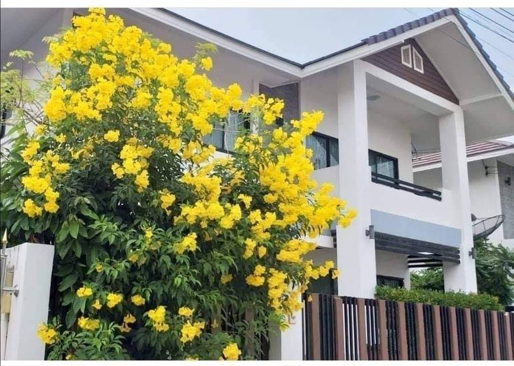 ภาพแบบบ้าน-มงคลสิริ