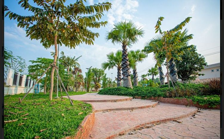 ภาพแบบบ้าน-บ้านทิวลิป