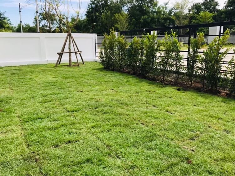 ภาพแบบบ้าน-บ้านเดี่ยวชั้นเดียว