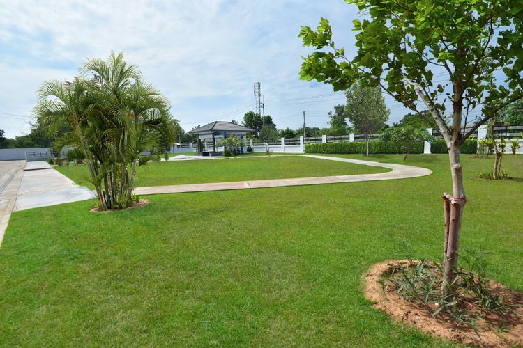 ภาพแบบบ้าน-Camelia