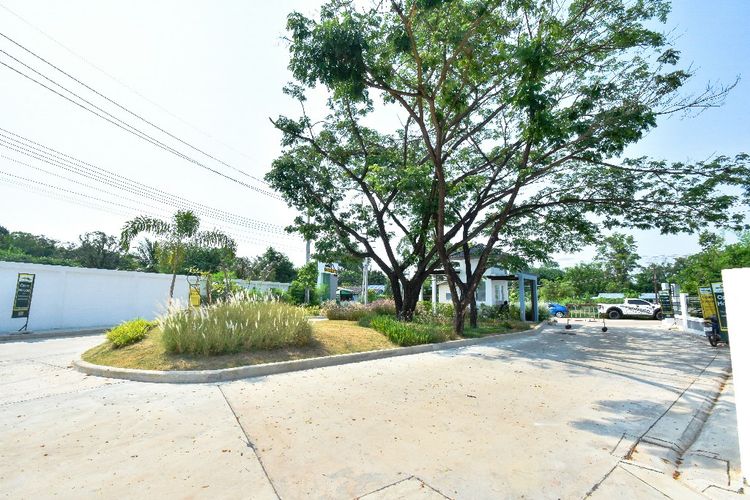 ภาพแบบบ้าน-Kennedia