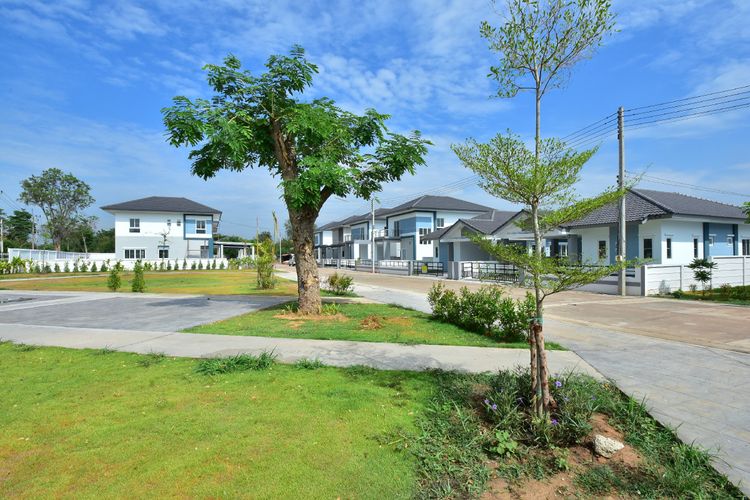 ภาพแบบบ้าน-Kennedia