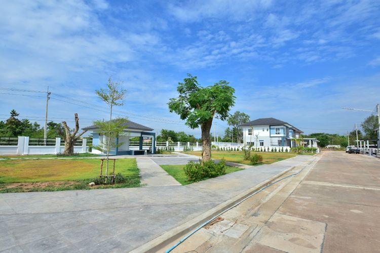 ภาพแบบบ้าน-Kennedia