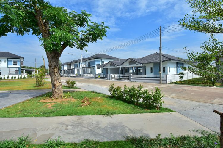 ภาพแบบบ้าน-Kennedia