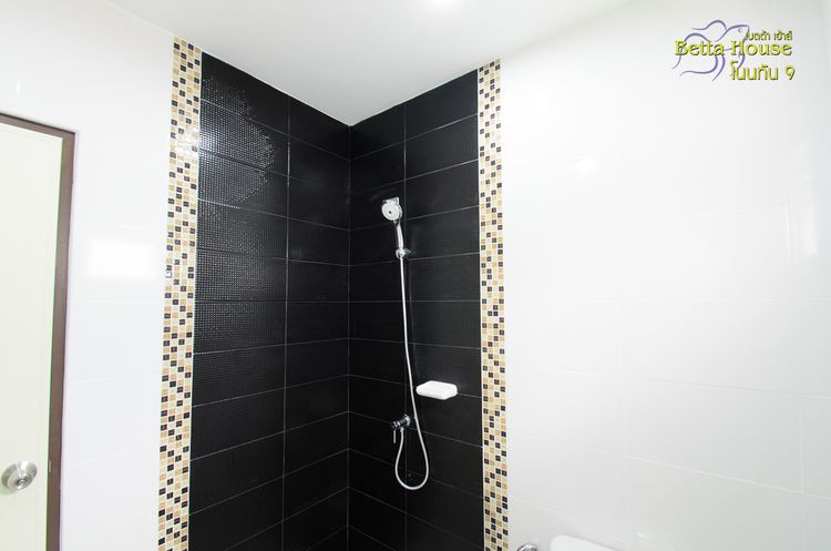 ภาพแบบบ้าน-Double Tail