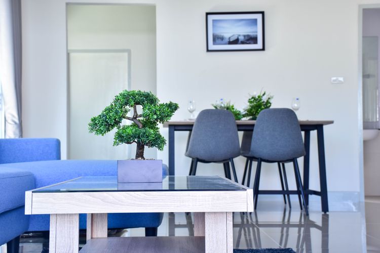 ภาพแบบบ้าน-Cassia