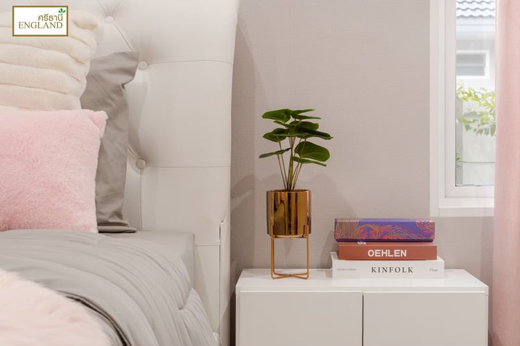 ภาพแบบบ้าน-Srithani England-บ้านเดี่ยวชั้นเดียว-Lagoon