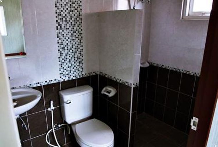 ภาพแบบบ้าน-บ้านแพรวดาว