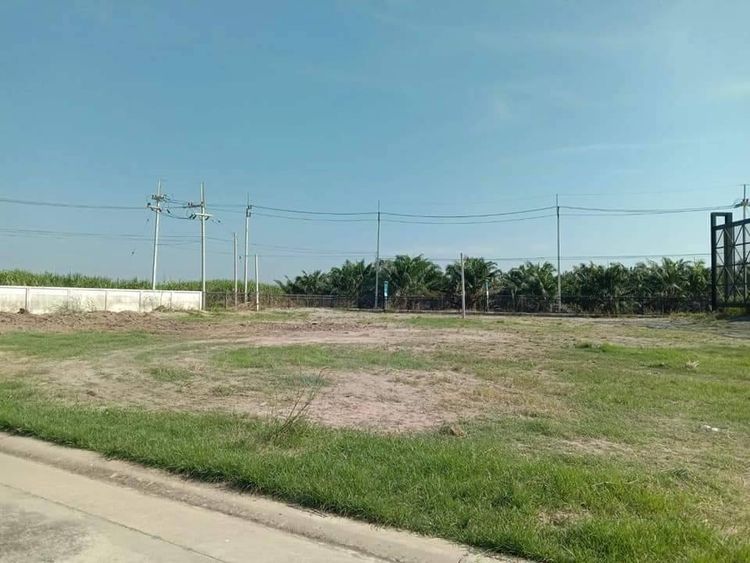 ภาพแบบบ้าน-กษิรา กรีนพีช บ้านเแฝดชั้นเดียว