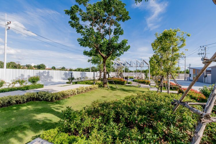 ภาพแบบบ้าน-ทาวน์โฮม ชั้นเดียว