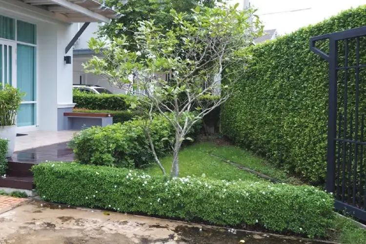 ภาพแบบบ้าน-TYPE A