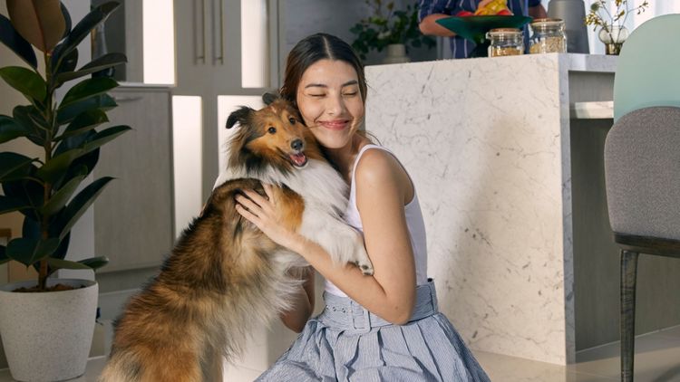 ภาพแบบบ้าน-Akiva