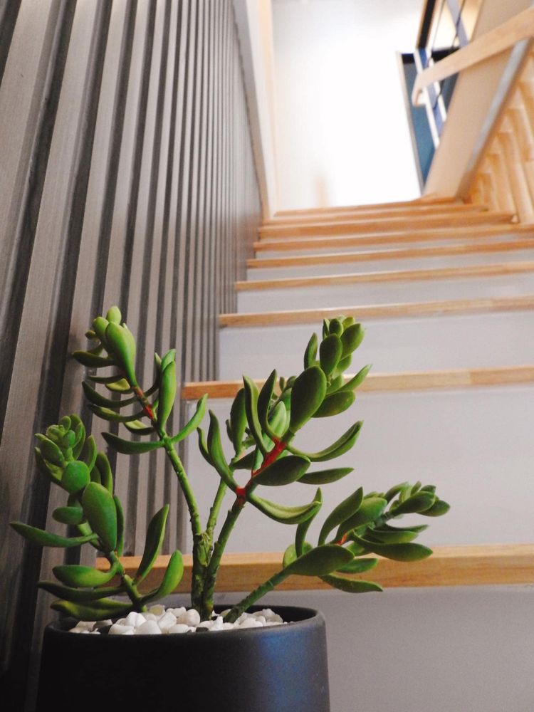 ภาพแบบบ้าน-ทาวน์โฮมสองชั้น