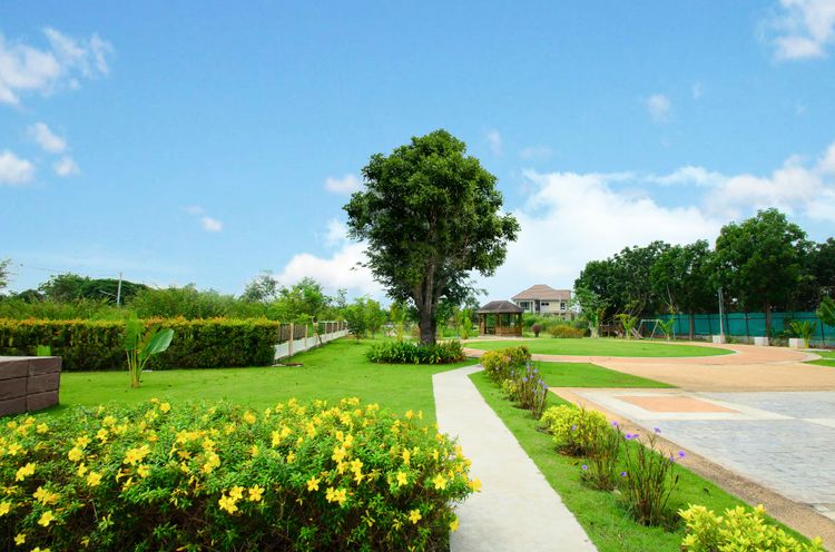 ภาพแบบบ้าน-ที่ดินเปล่า