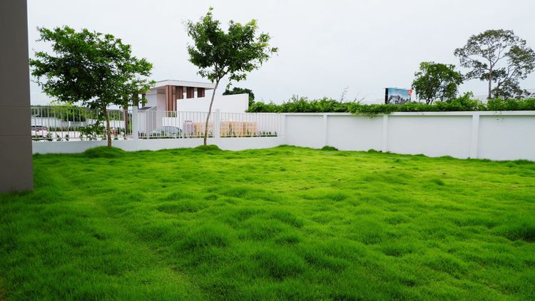 ภาพแบบบ้าน-Type A บ้านเดี่ยว 2 ชั้น