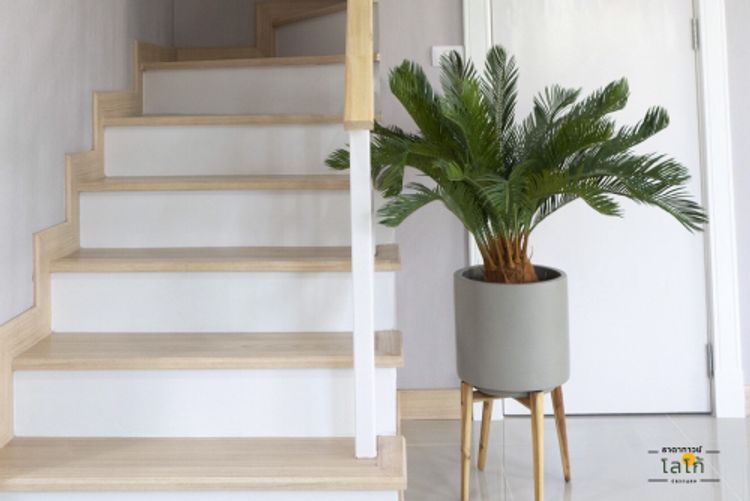 ภาพแบบบ้าน-Soul