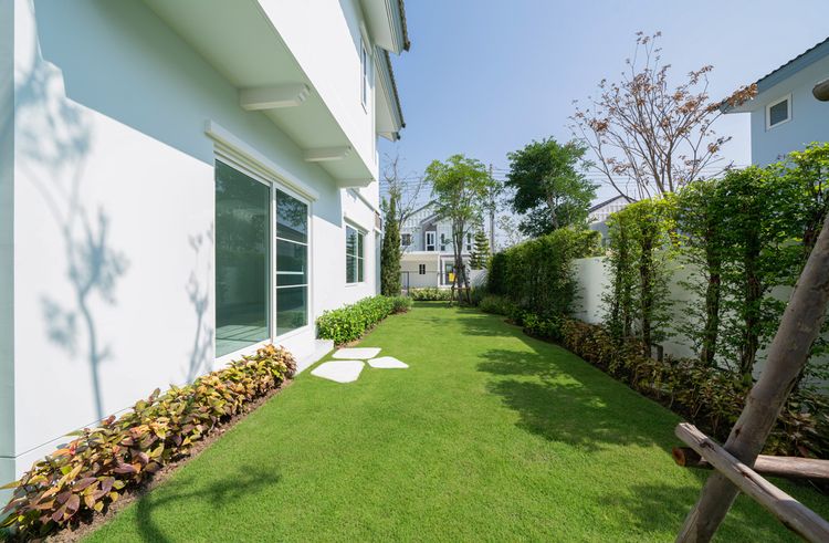 ภาพแบบบ้าน-Comfy