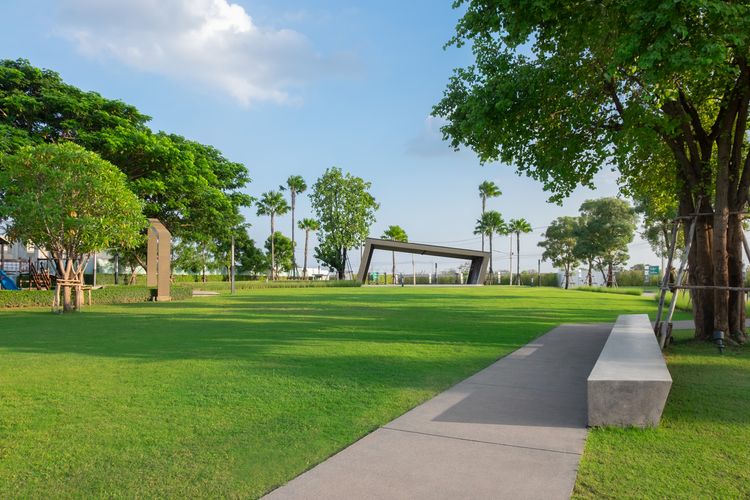 ภาพแบบบ้าน-Comfy