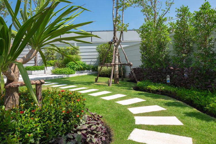 ภาพแบบบ้าน-Comfy