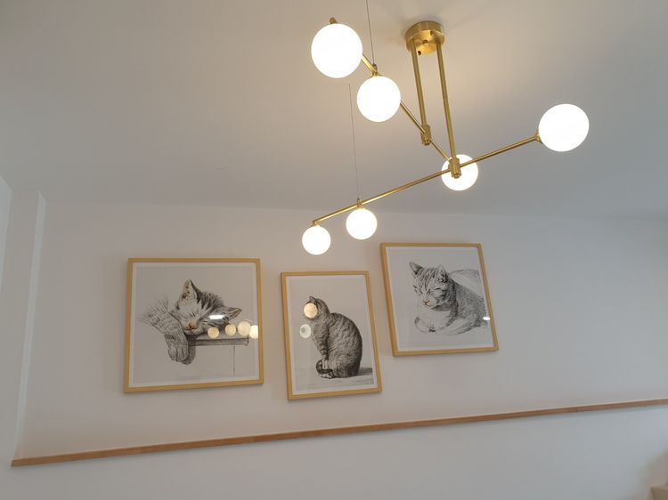 ภาพแบบบ้าน-ทาวน์โฮม