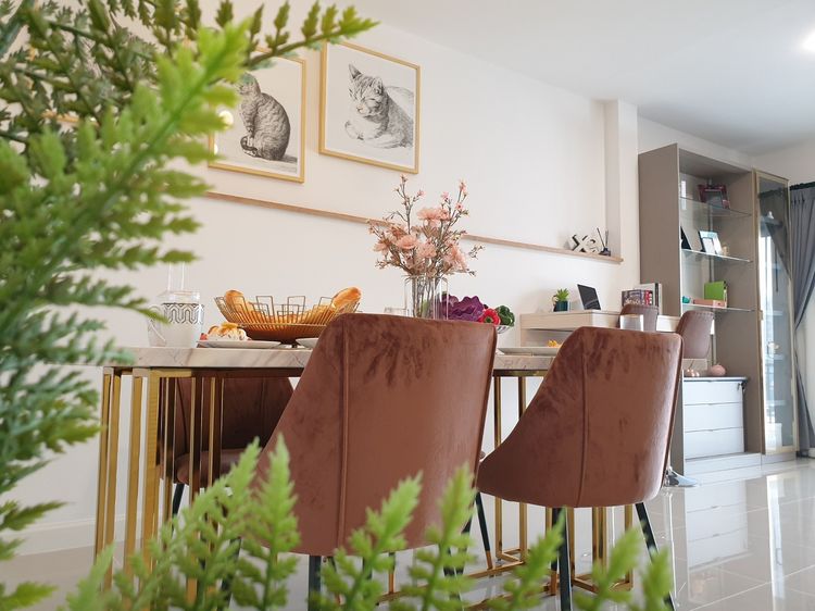 ภาพแบบบ้าน-ทาวน์โฮม