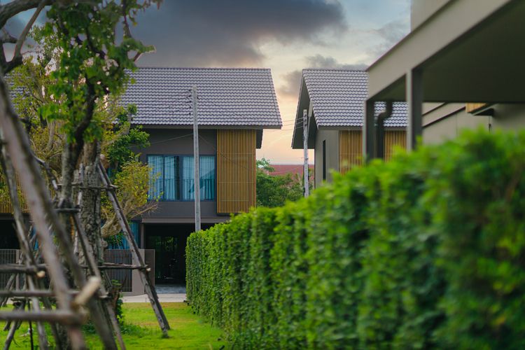 ภาพแบบบ้าน-Modern Tropical 2