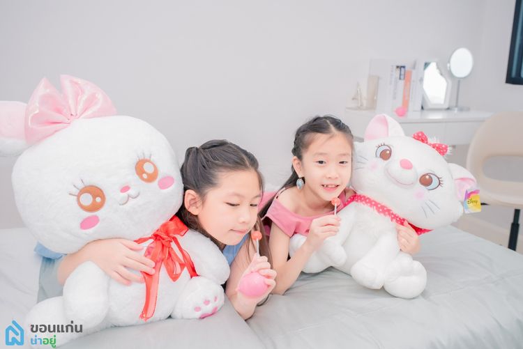 ภาพแบบบ้าน-บ้านแฝด