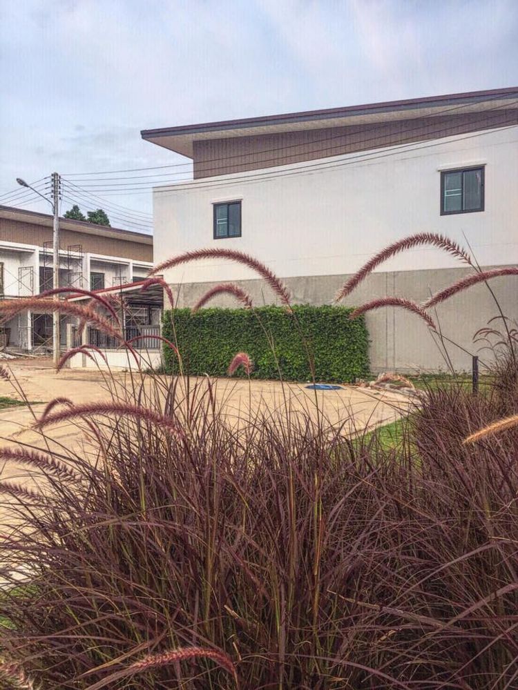 ภาพแบบบ้าน-Single House