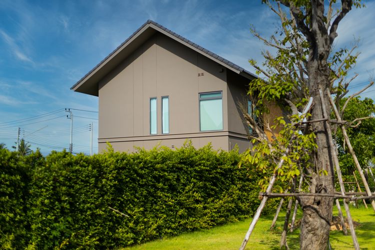 ภาพแบบบ้าน-Modern Tropical 3