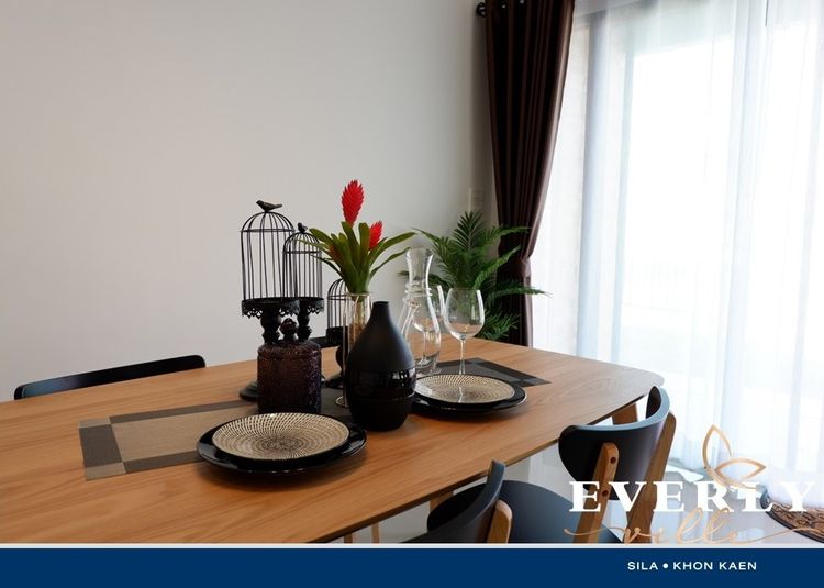 ภาพแบบบ้าน-แอเรียล