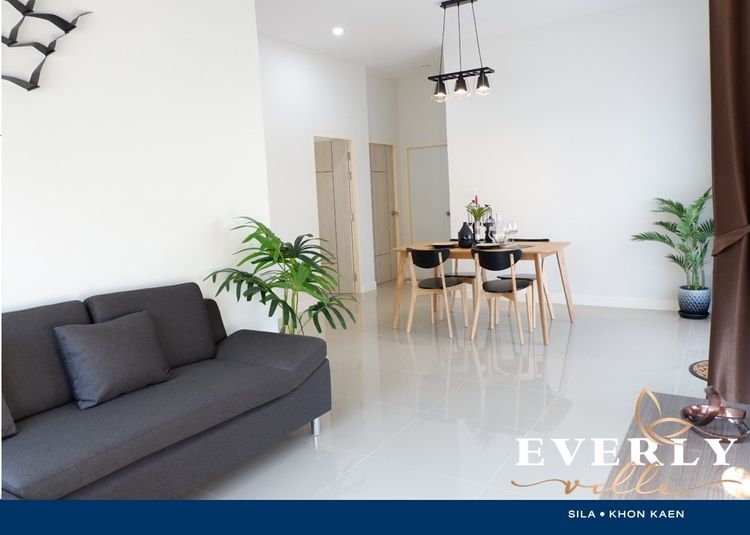 ภาพแบบบ้าน-แอเรียล