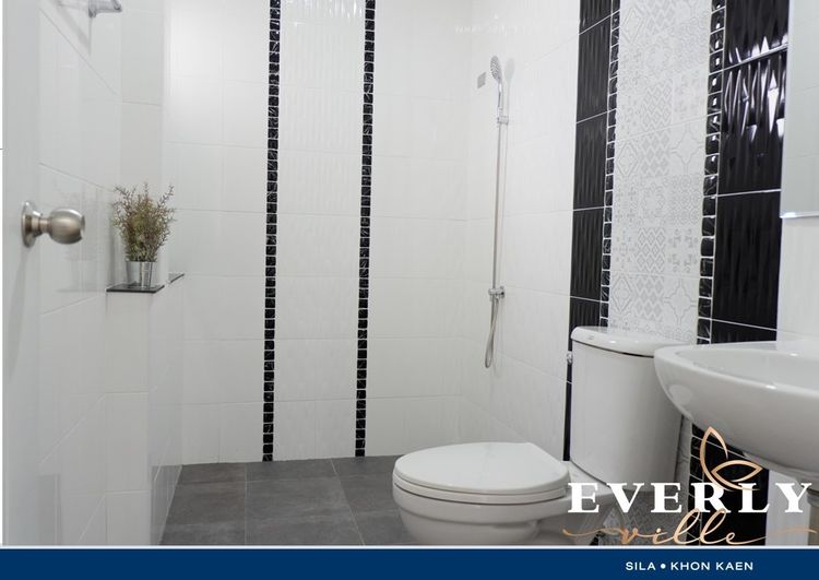 ภาพแบบบ้าน-แอเรียล