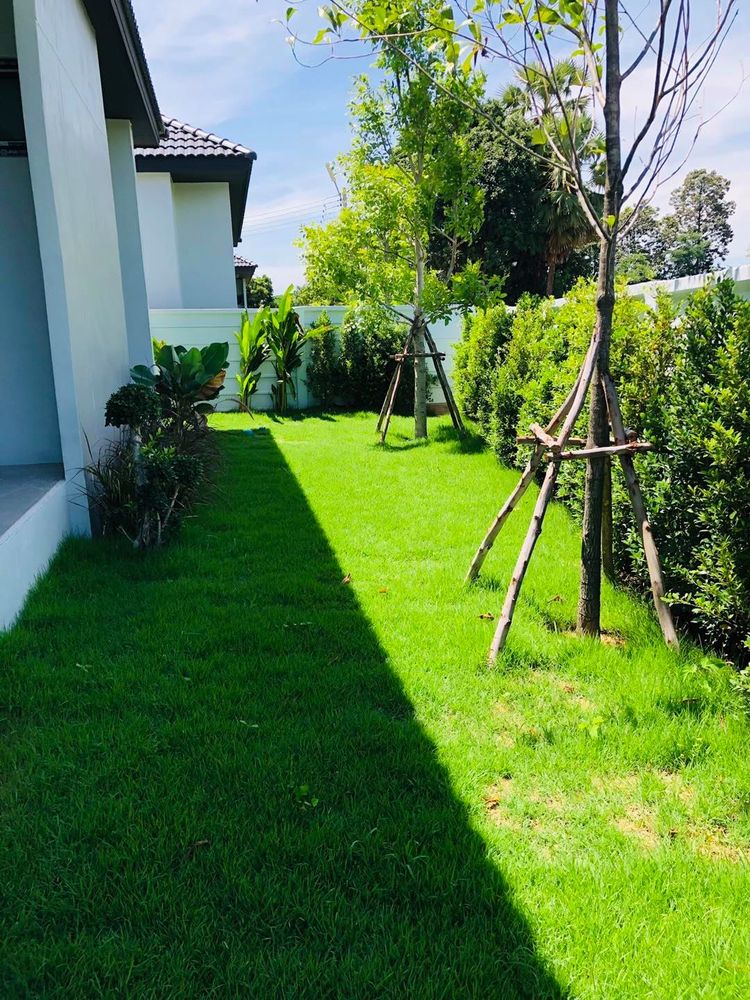 ภาพแบบบ้าน-บ้านเดี่ยวชั้นเดียว