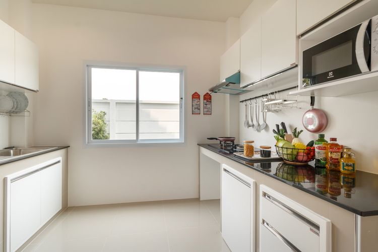 ภาพแบบบ้าน-ICONIC