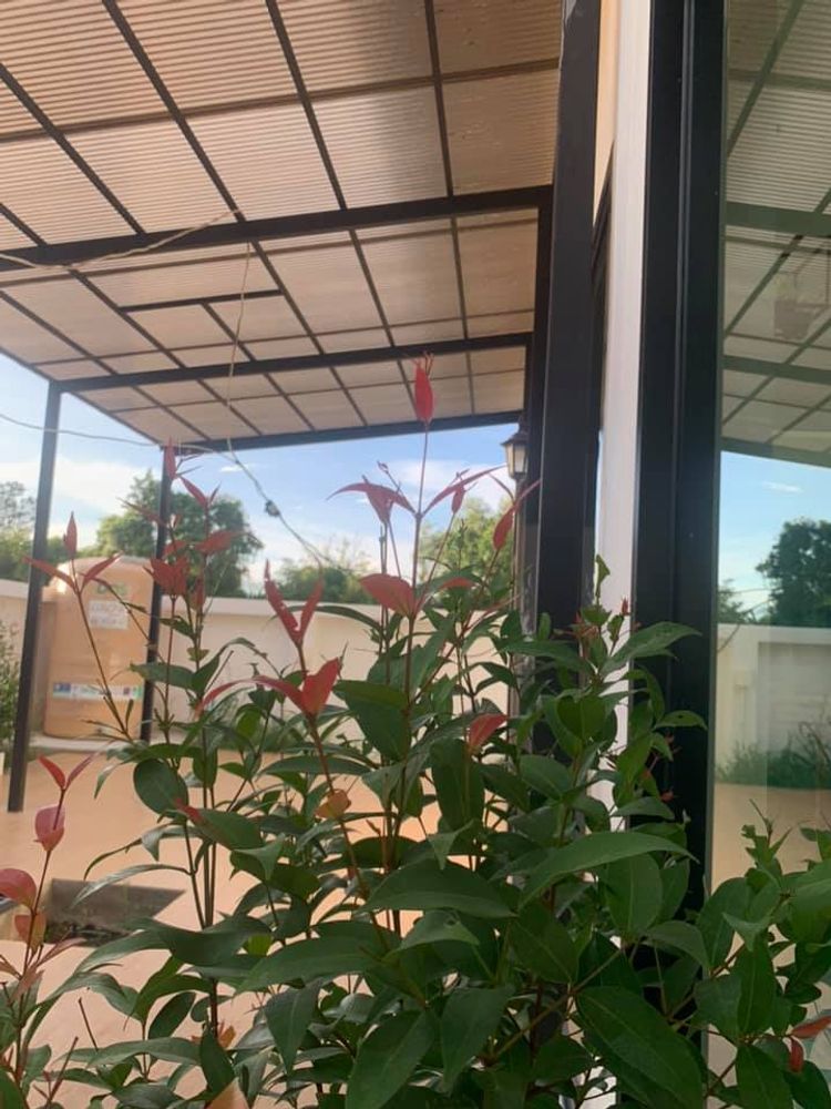 ภาพแบบบ้าน-บ้านเดี่ยว