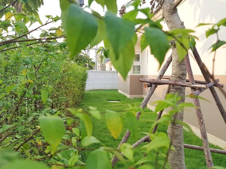 ภาพแบบบ้าน-ศุภฤกษ์