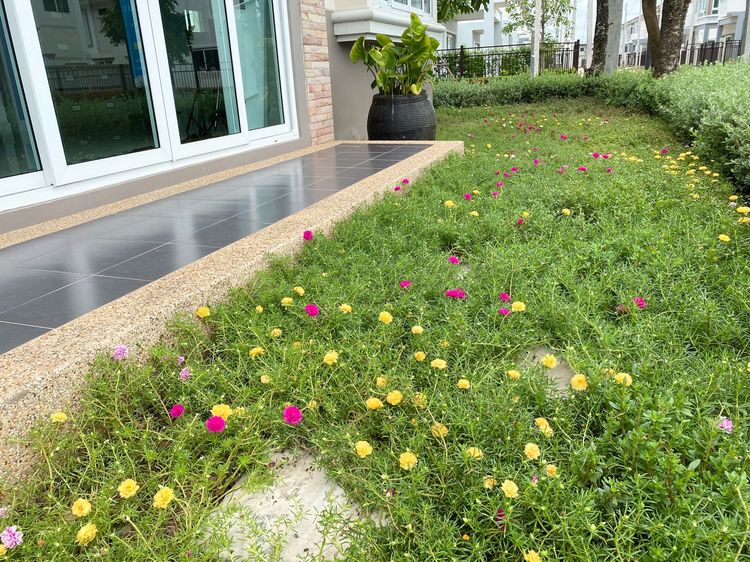 ภาพแบบบ้าน-ศุภฤกษ์