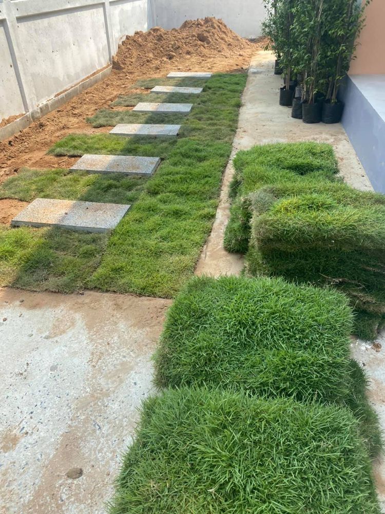 ภาพแบบบ้าน-ลีลา วิลส์