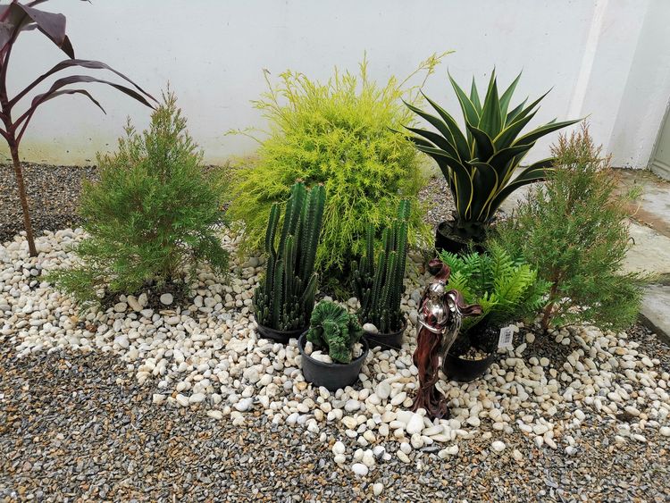 ภาพแบบบ้าน-D-LIFE​ VILLAGE​ @ สำ​ราญ​-ขอนแก่น แบบที่ 1