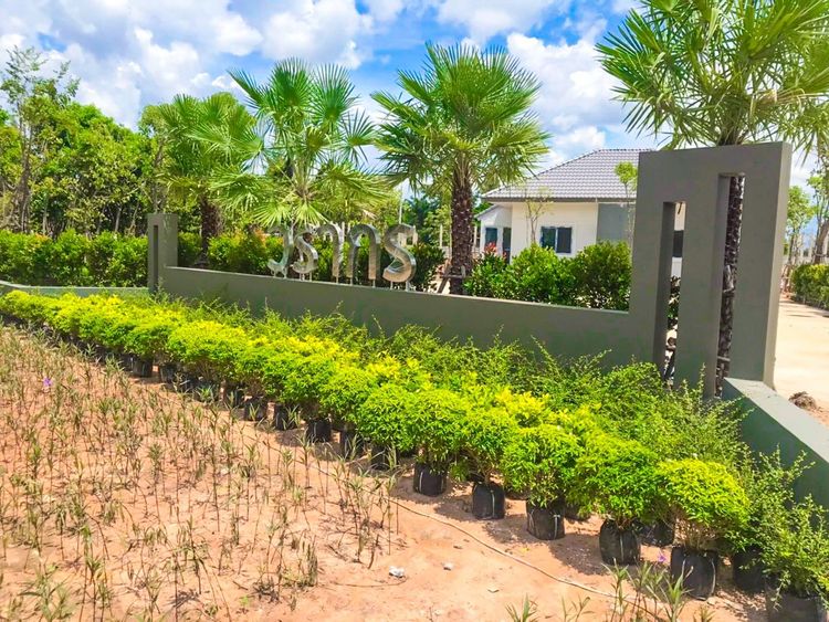 ภาพแบบบ้าน-บ้านเดี่ยว