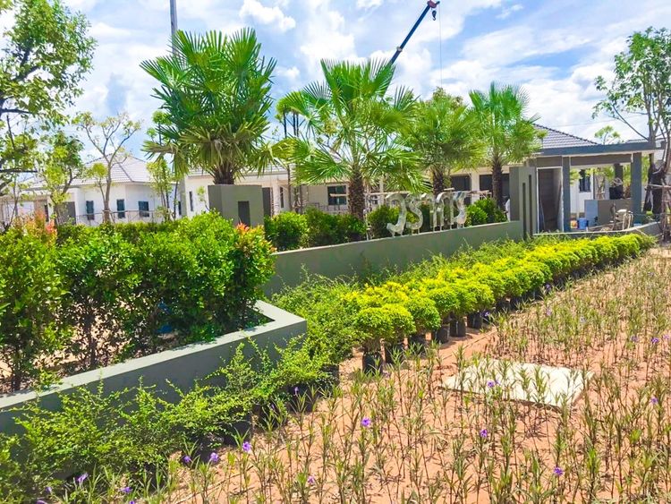 ภาพแบบบ้าน-บ้านเดี่ยว