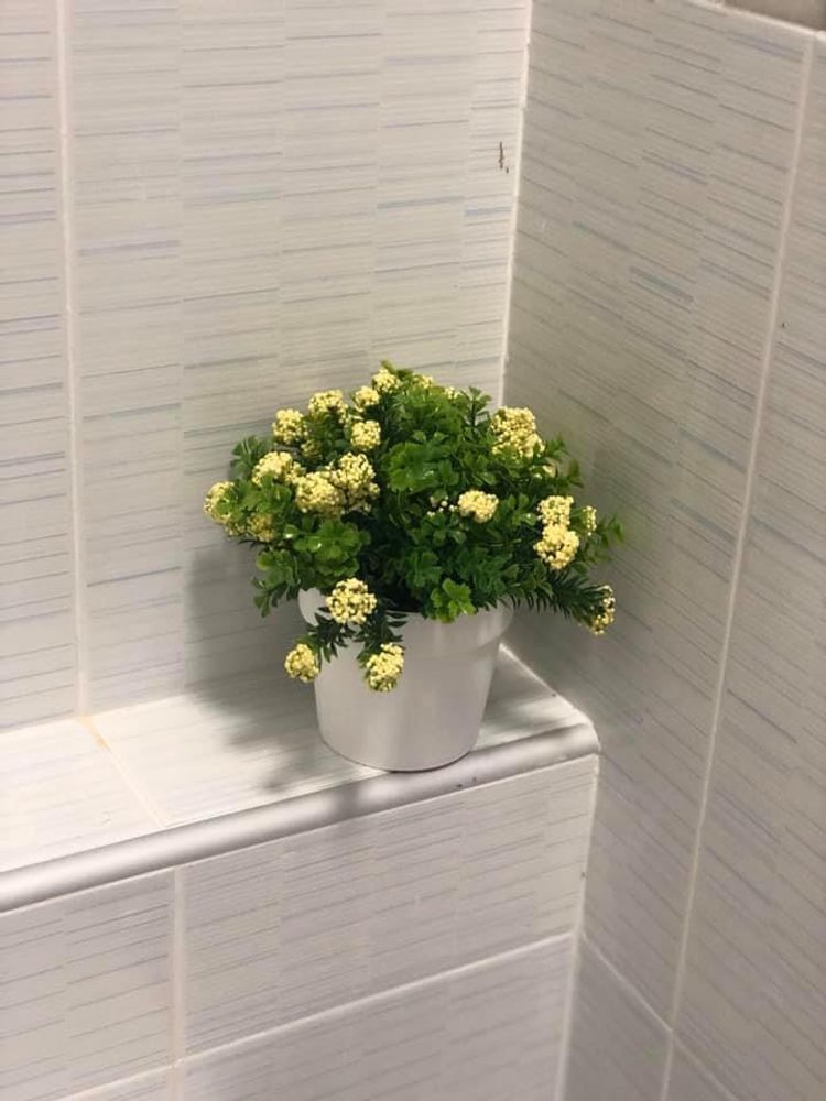 ภาพแบบบ้าน-เดอะบุญชู