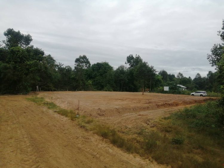 ภาพแบบบ้าน-บ้านนอร์ดิก 135ตรม. ที่ดิน 105ตรว. เพียง 1.90 ล. ใกล้ศาลากลางอุบลแห่งใหม่