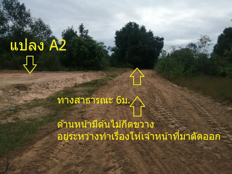 ภาพแบบบ้าน-บ้านนอร์ดิก 135ตรม. ที่ดิน 105ตรว. เพียง 1.90 ล. ใกล้ศาลากลางอุบลแห่งใหม่