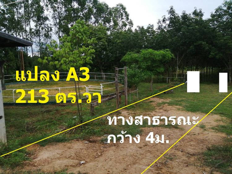 ภาพแบบบ้าน-บ้านเดี่ยว