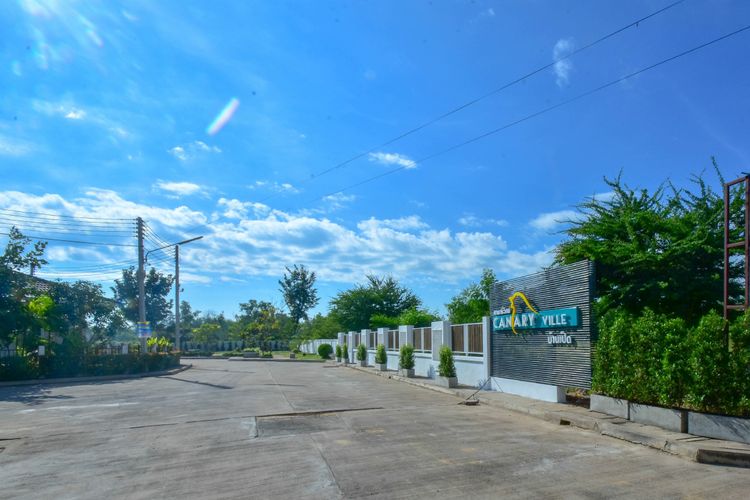 ภาพแบบบ้าน-Calla lily